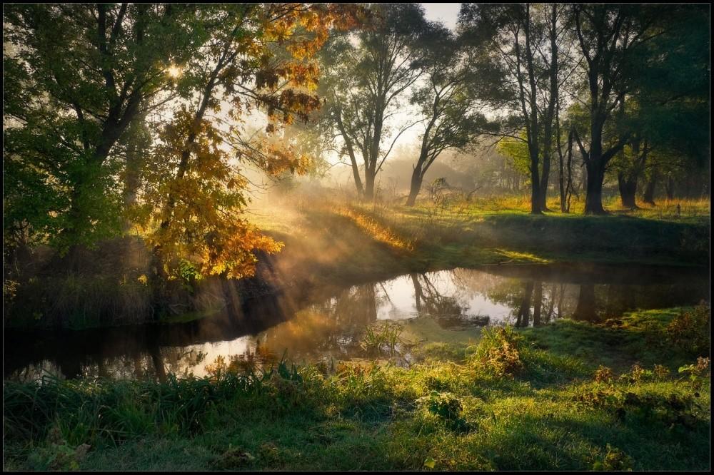 Сойди с Небес, святое вдохновенье