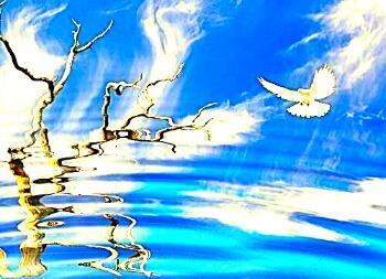 Непогодная аритмия