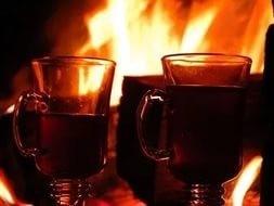 Астра белая