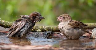 Не победить течения в судьбе