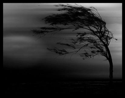 Сумасшедшая ночь