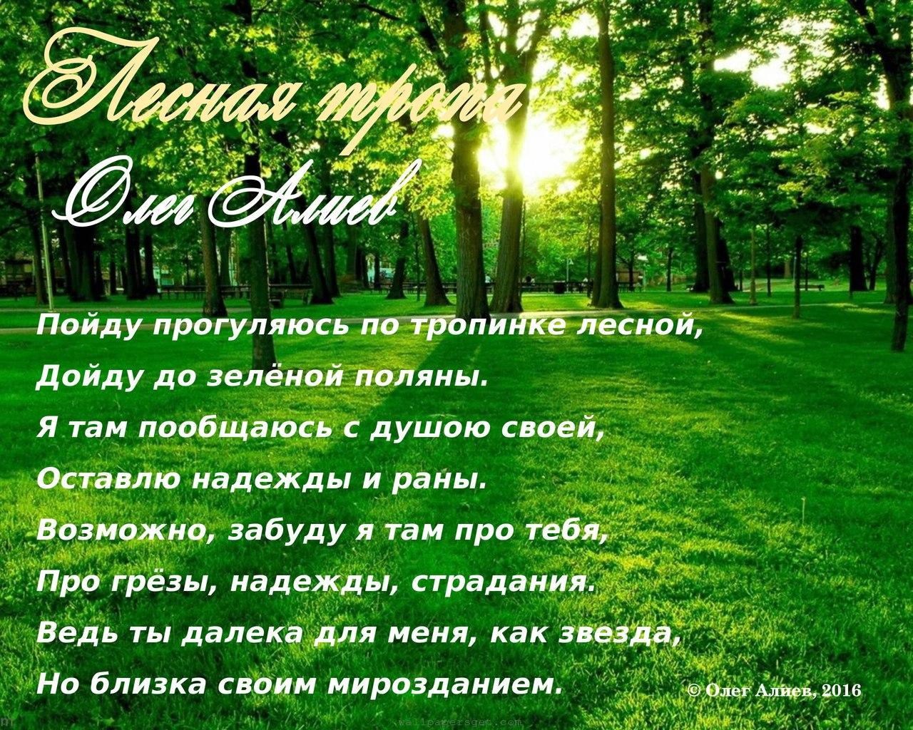 Лесная тропа