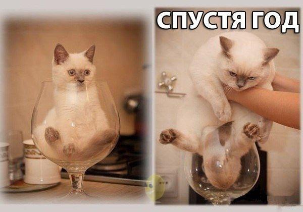 На злобу дня