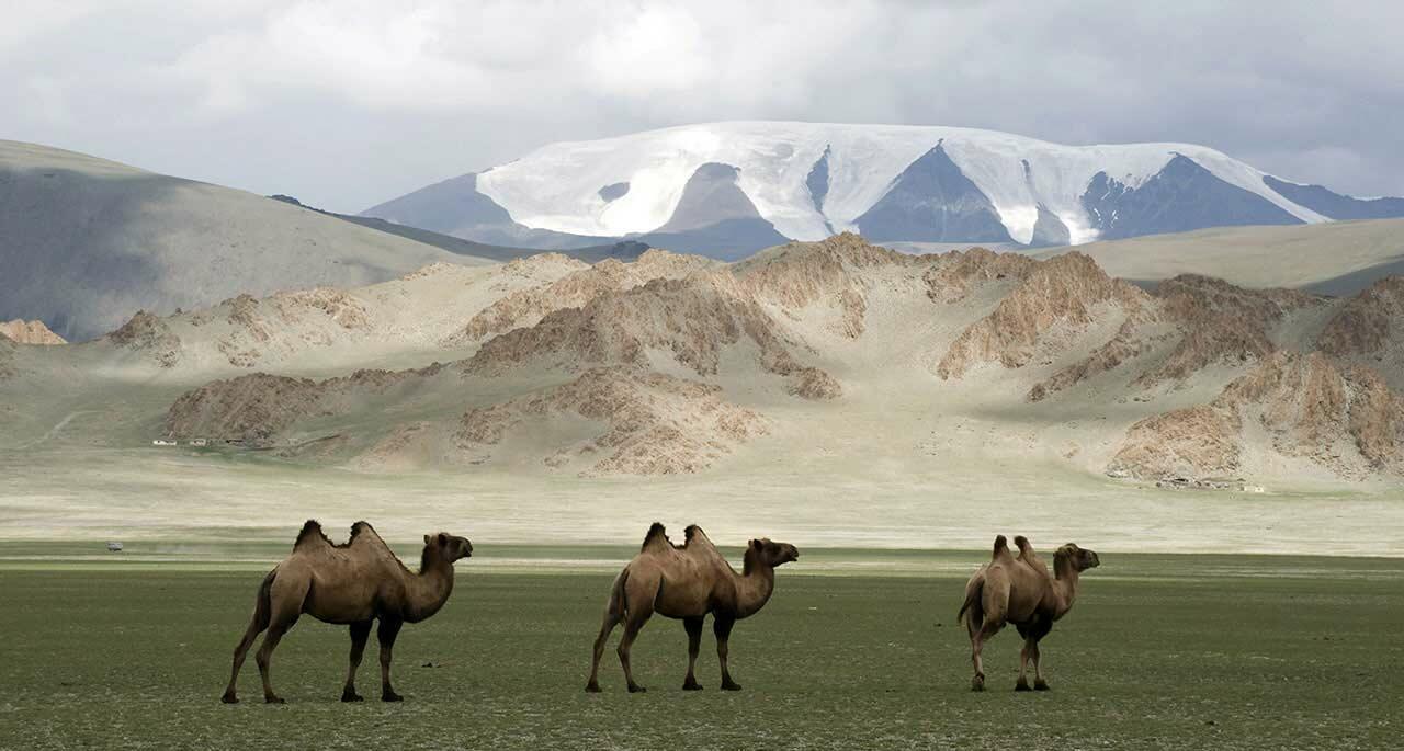 В степи монгольской