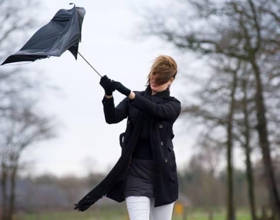 ВЕТЕР-СТИЛИСТ.