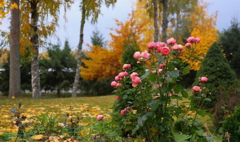 Ноябрь в Анапе