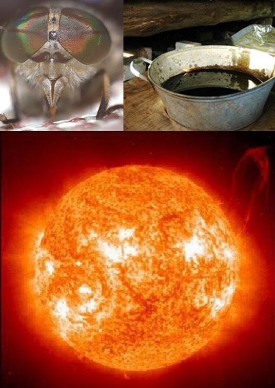 Полёты на солнце. Миф или реальность?