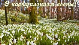 Бегут ручьи, поёт капель.