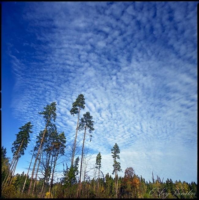 Замирает дрожь у неба