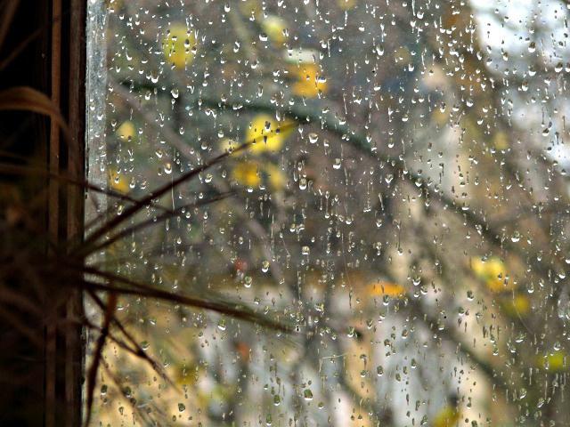 Рыдает дождь над листопадом