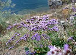 43 года спустя..