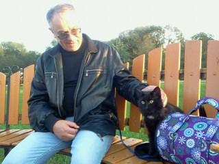 Компьютер и кот