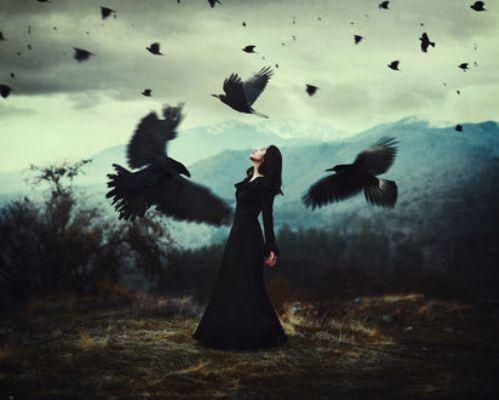 НЕ КРИЧИ ВОРОНЬЁ...