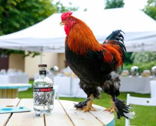 Последние инструкции перед праздником