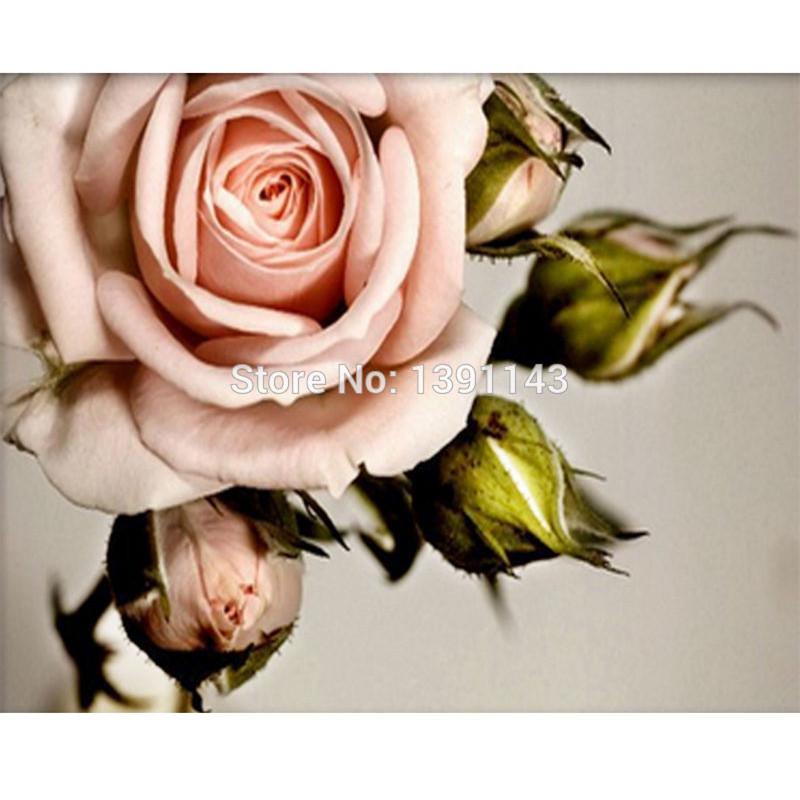 Пичуга и Поэт