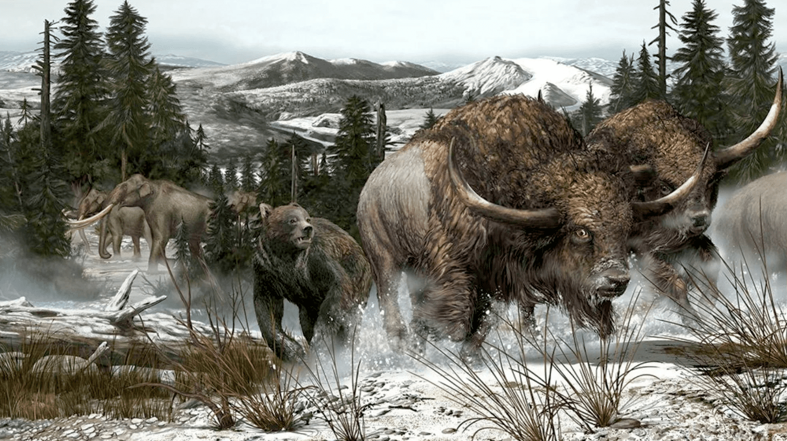 Ах да, холод...