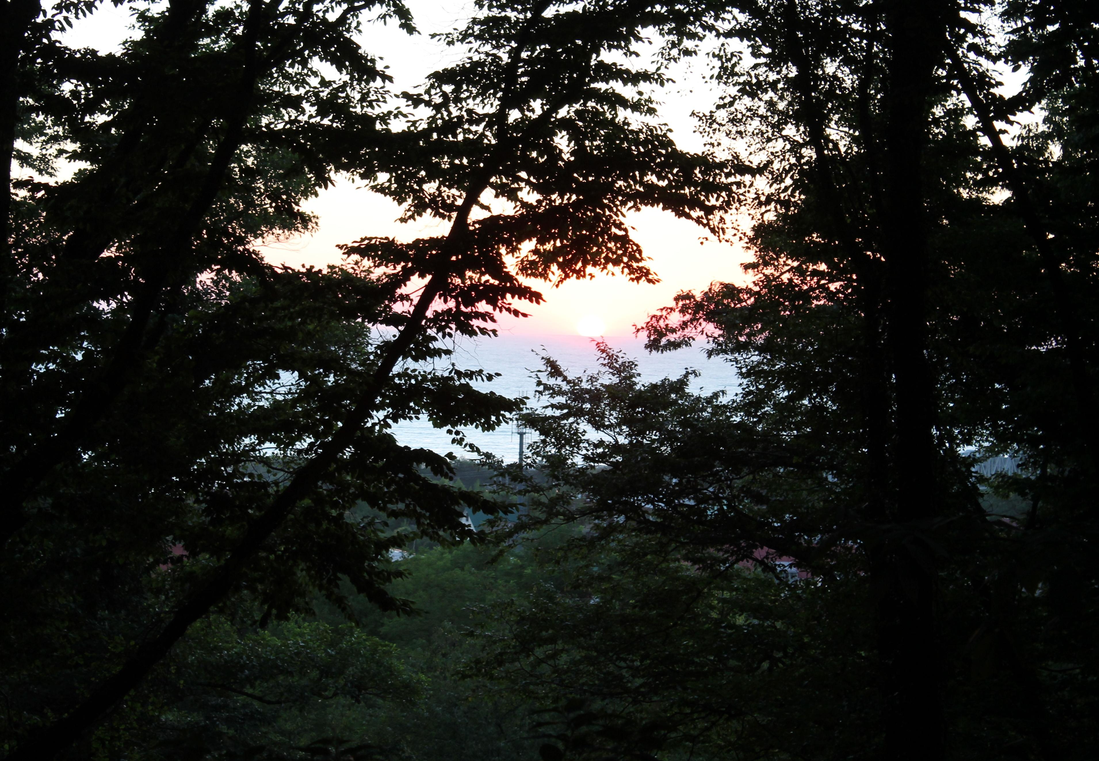 В заботах и труде