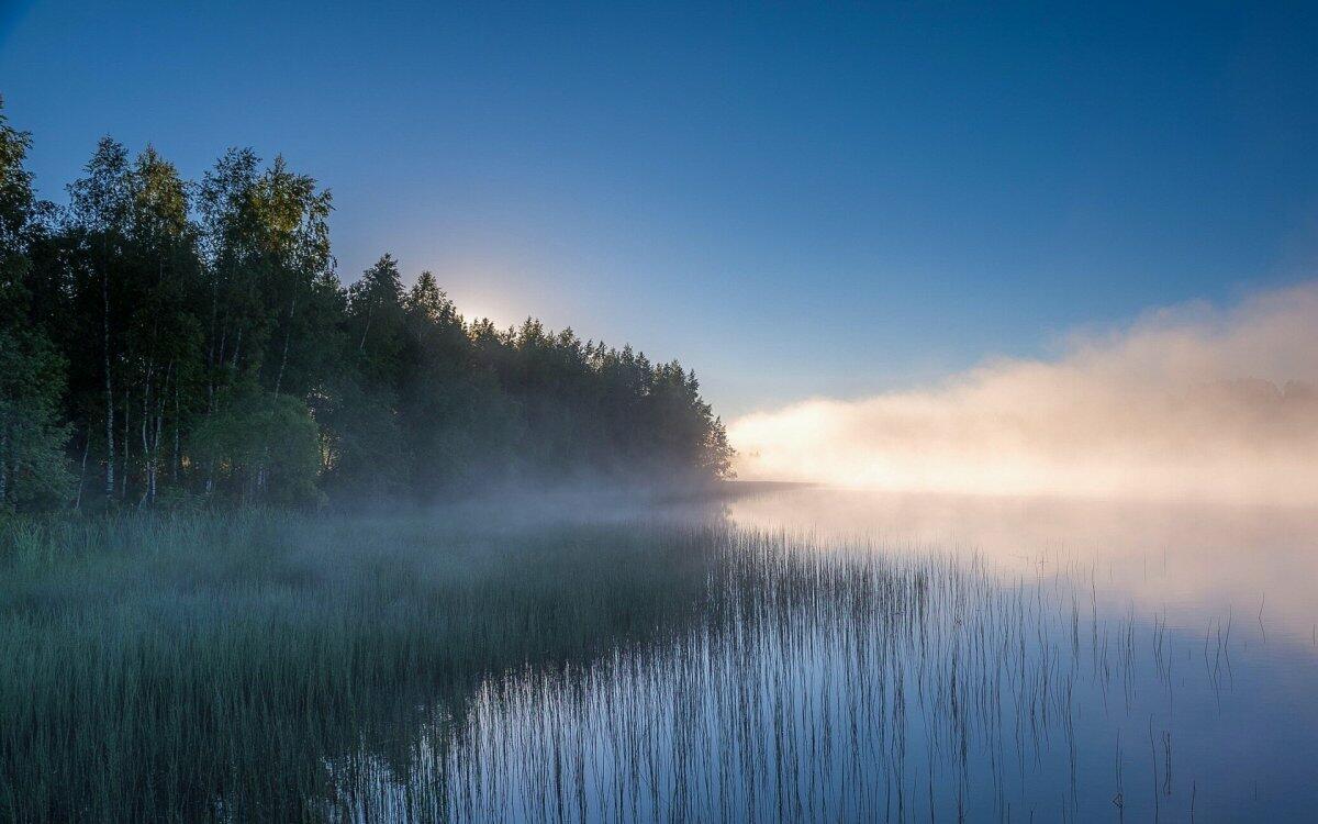 ТАЛЬНИК