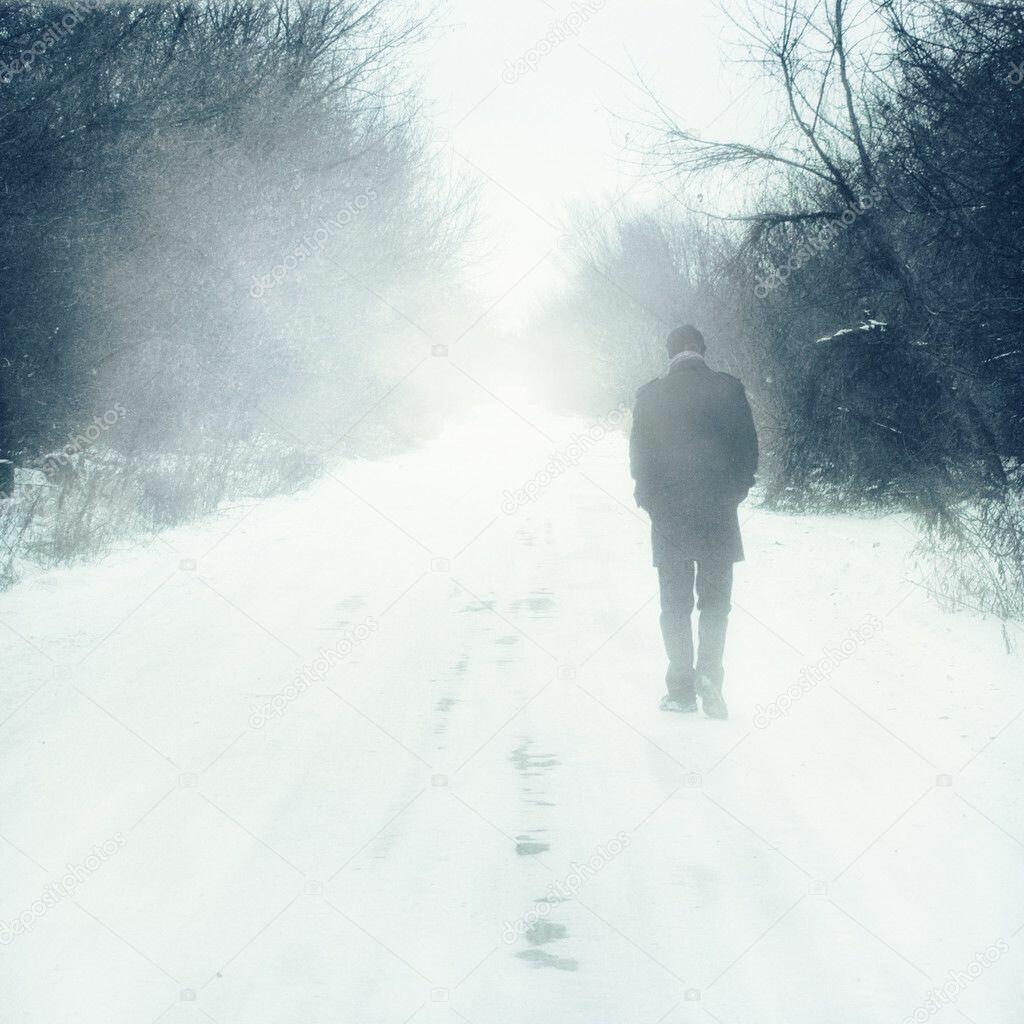 токсичная пижма