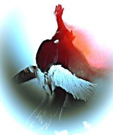 Голубая змейка