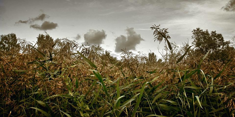 уже не ждать тепла