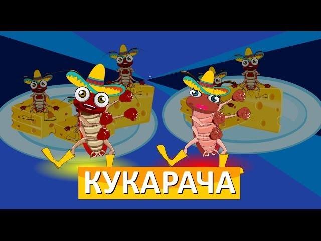 КУКАРАЧА