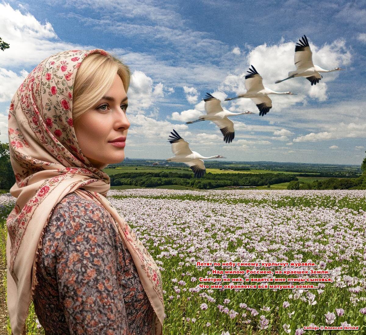 Журавли над Россией