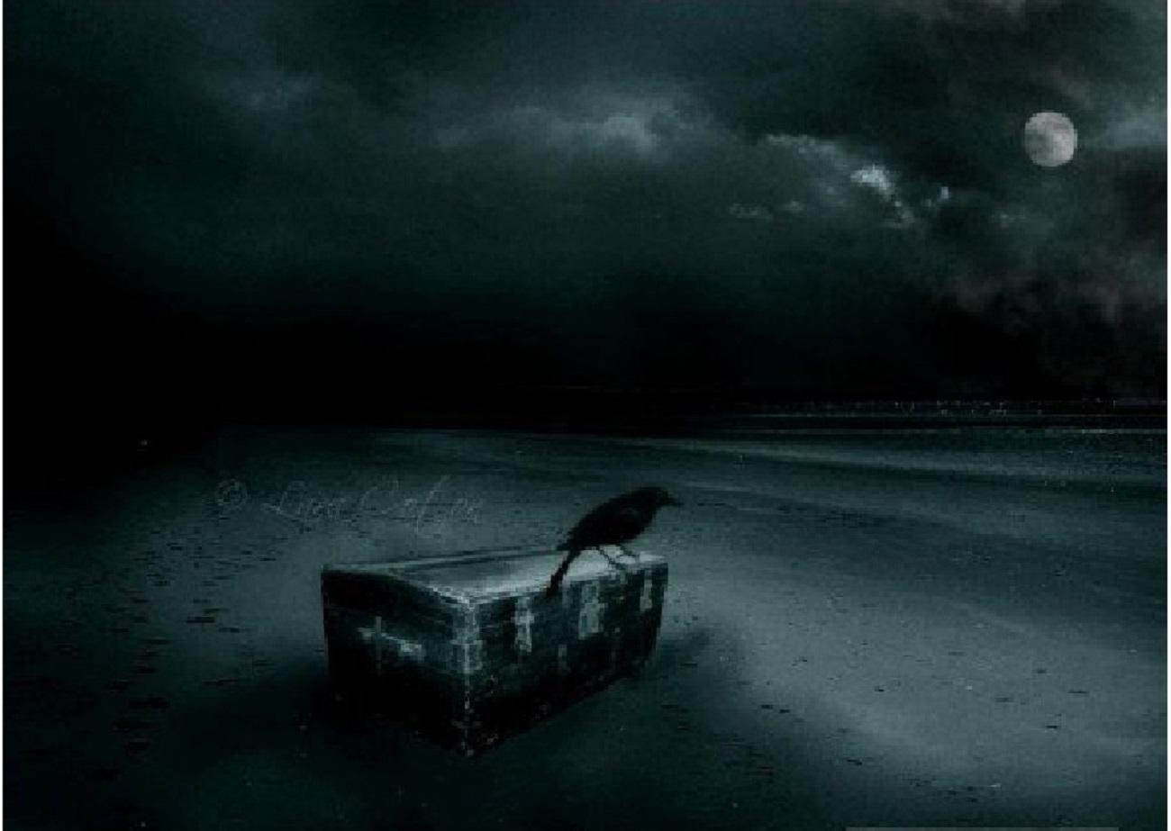 Живи разумно