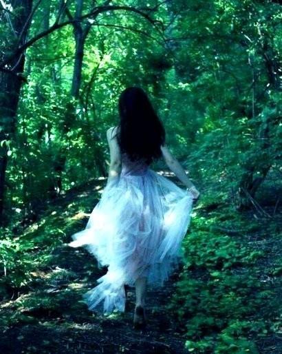 ЛЕСНОЙ МИРАЖ