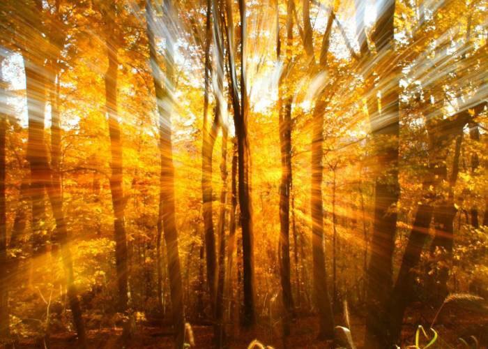 Московское утро