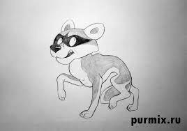 Смелый шакал.