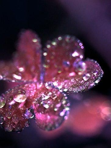 Ты узнал меня?