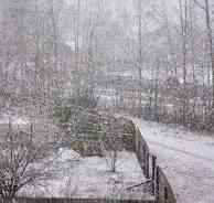 МИНИАЮРНОЕ