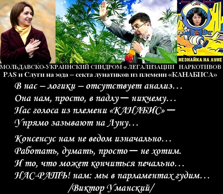 Слуги «Канабиса»