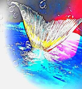 Где-то плавает щука