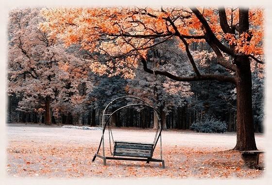 Качели детства.