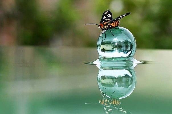 Цена мгновению