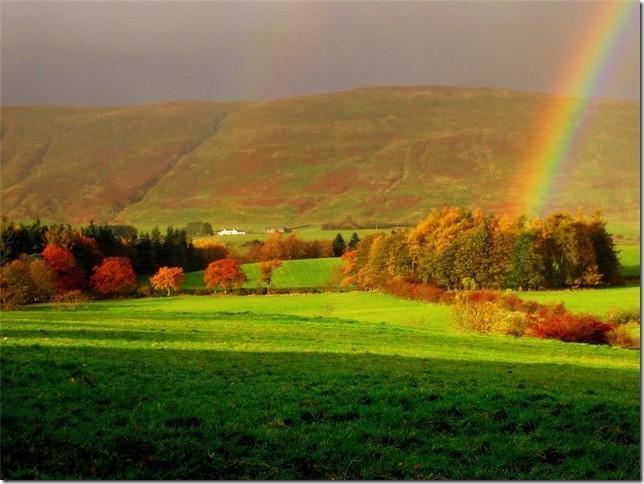 Разноцветна.