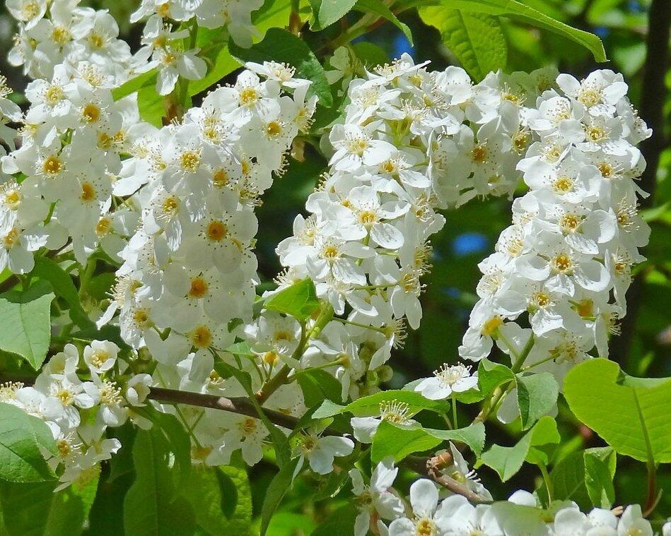 Такая вечная любовь