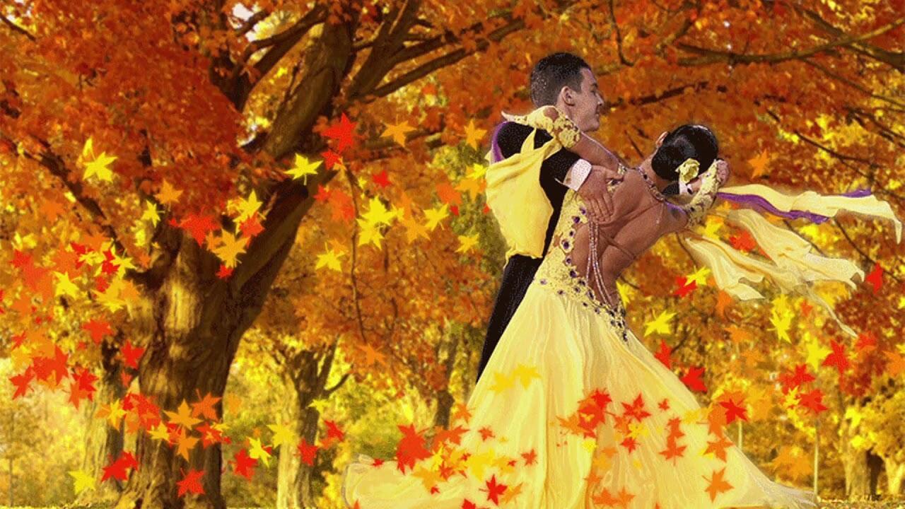 Танец разноцветных листьев...