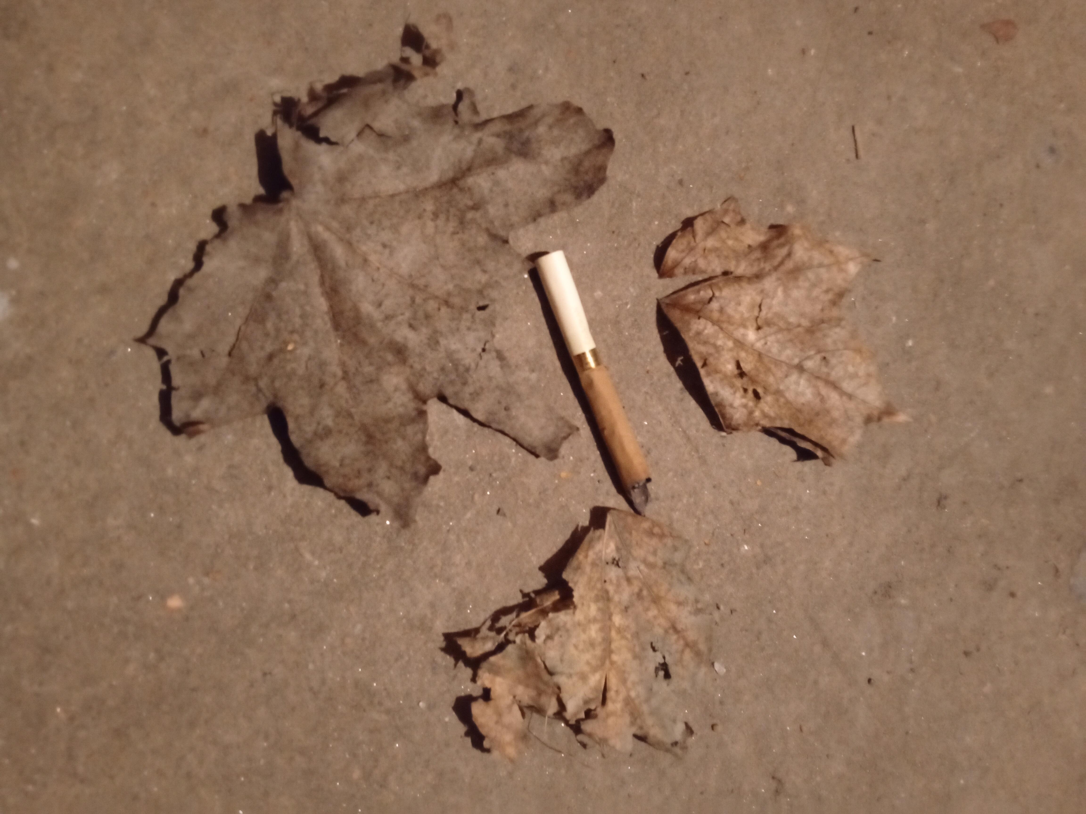 Сын сигареты дорогой