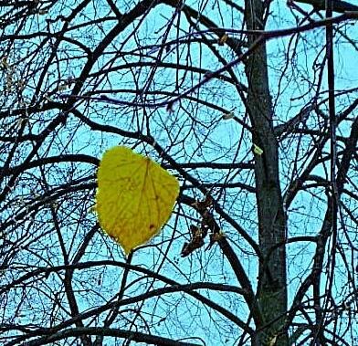 Последний лист