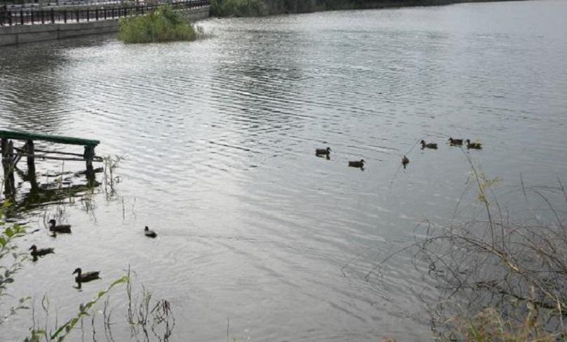 "У воды" (22.06.2016)