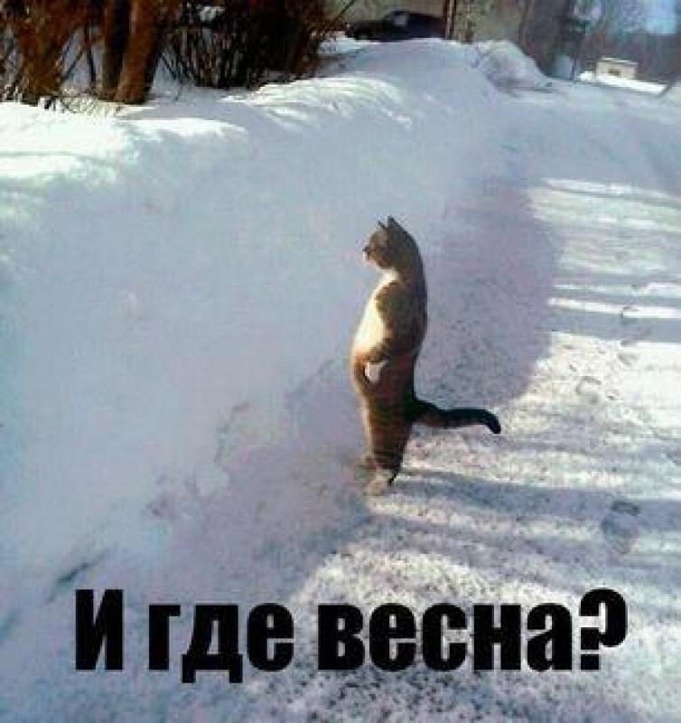 Зимне - весеннее