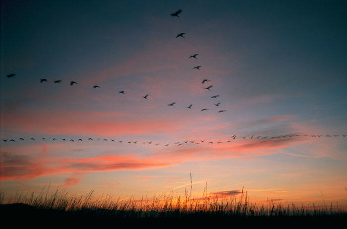 Песня "Моя осень"