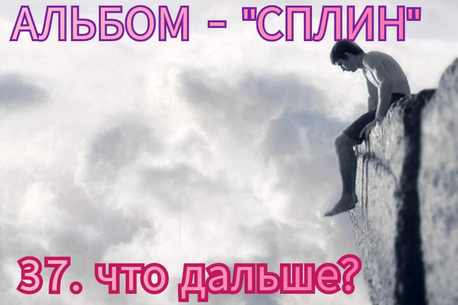 37. ЧТО ДАЛЬШЕ ?..