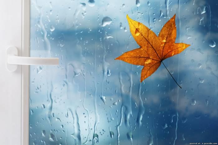 Посеешь ветер, бурю будешь жать