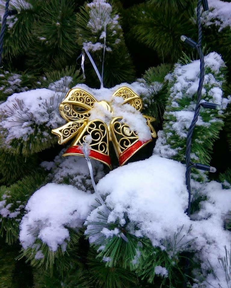 Зима. Пустынно и морозно.