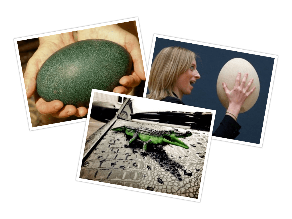 Небылица. Было дело... (стихоток 3)