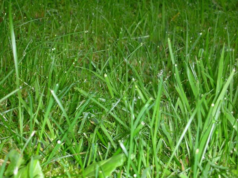 Развратный сердцем от путей своих